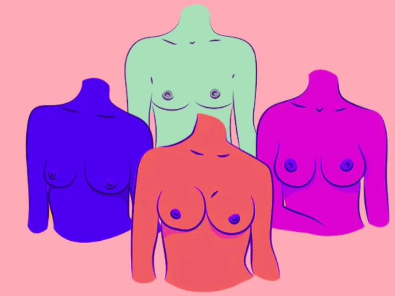 Various Breast Shapes