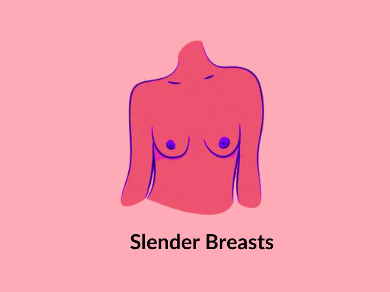 Slender breasts