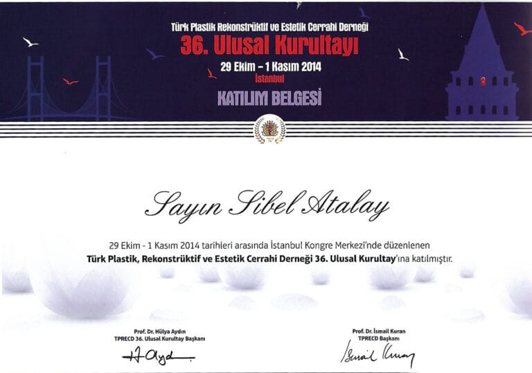 A certificate image featuring an event titled '36. Ulusal Kurultay' (36th National Congress) of the Turkish Plastic, Reconstructive, and Aesthetic Surgery Association held in Istanbul from January 29 to November 1, 2014. The certificate is awarded to Sayın Sibel Atalay for participation in the congress. The design includes: - **Lighting:** Soft, diffused lighting that highlights the text and graphical elements clearly without causing glare. - **Makeup:** Not applicable as this is a certificate image. - **Masculine/Feminine Elements:** The certificate is gender-neutral in design, though it is awarded to an individual with a feminine name, Sibel Atalay. - **Background:** The background features a dark blue gradient with silhouettes of iconic Istanbul structures, such as a bridge and a historical tower, enhancing the cultural and geographical context. - **Anatomy and Clothing Details:** Not applicable as the image is a certificate and does not depict human figures or clothing details.
