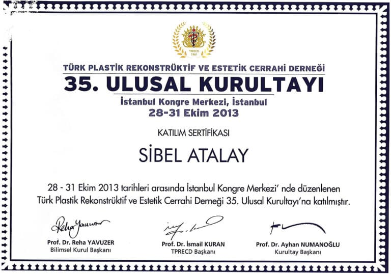 A white participation certificate from the 35th National Congress of the Turkish Society of Plastic, Reconstructive and Aesthetic Surgeons held in Istanbul in 2013, awarded to Sibel Atalay, featuring formal typography, an association logo, and three official signatures, with flat lighting and no human elements such as anatomy, clothing, makeup, or gender-specific characteristics.