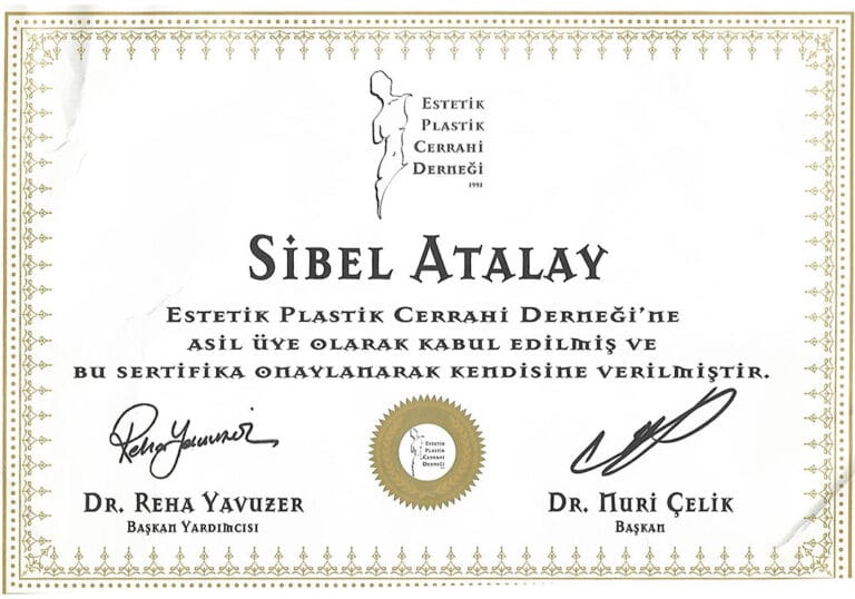A professional certificate awarded to Sibel Atalay from the Turkish Society of Aesthetic Plastic Surgery. The document features a white background with a decorative gold border. At the top, there is a minimalist, abstract line-art illustration representing a stylized female silhouette. The text is printed in a clean, formal font. There are no elements related to lighting, makeup, or clothing details, as it is a graphic document. The design emphasizes professional aesthetic anatomy through the logo, and the overall style is formal and institutional.