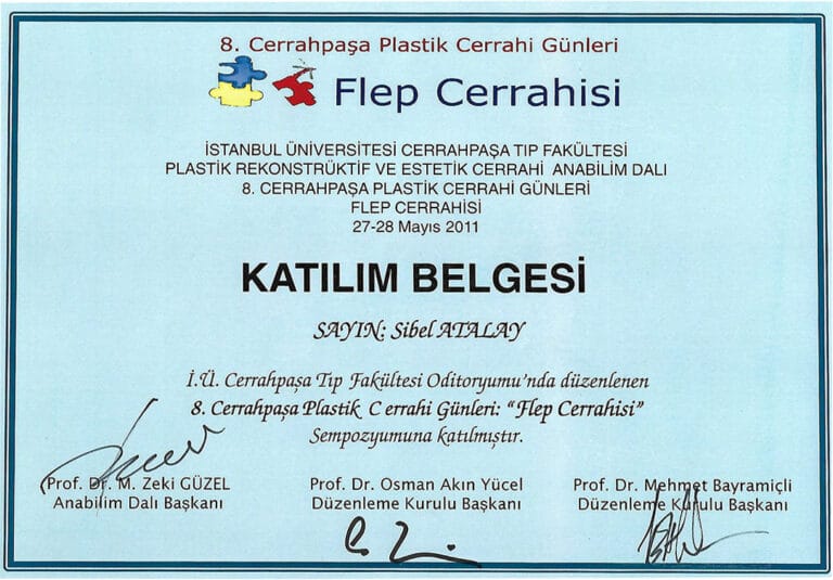 Certificate of participation for Sibel Atalay from the 8th Cerrahpaşa Plastic Surgery Days symposium on Flap Surgery, featuring a blue-bordered document design with formal typography, signatures of three professors, and abstract logos. The image contains no human figures, lighting effects, makeup, or anatomical details, as it is a professional document set against a flat, light-blue background.
