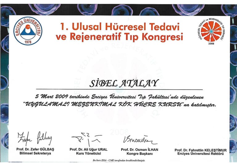 A formal certificate issued to Sibel Atalay for attending the 'Applied Mesenchymal Stem Cell Course' on March 5, 2009, at Erciyes University, featuring institutional logos, text in Turkish, and signatures from congress officials, presented on a white background framed by decorative blue cell/microscopic imagery. Note: This image is a document and contains no human subjects, therefore lighting, makeup, gender, anatomy, and clothing details are not applicable.